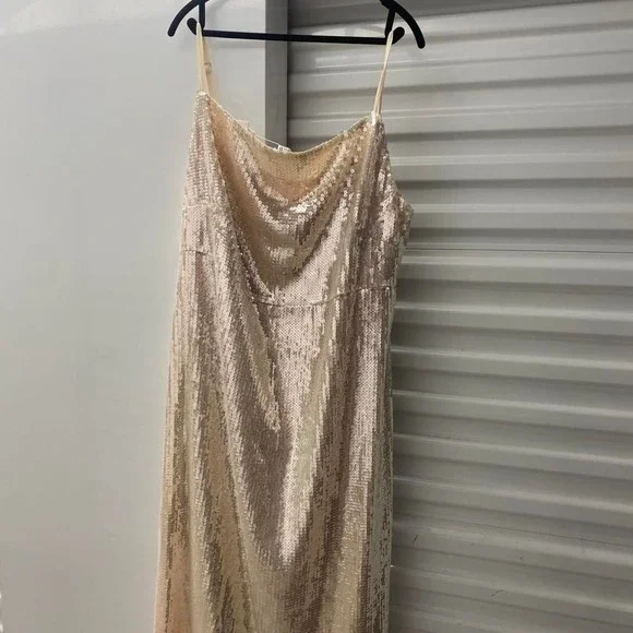 NWT ASOS brand champagne /ivory color sequin midi slip dress. Size 20/xl - Picture 3 of 4